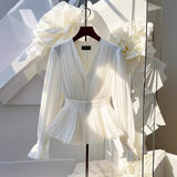 Pleated V-neck Long Sleeve Top
