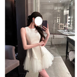 Puff Mesh Pearlescent Dress